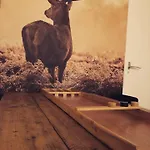 Op De Veluwe