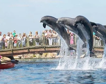 Www Op De Veluwe Nl Casa de Férias *