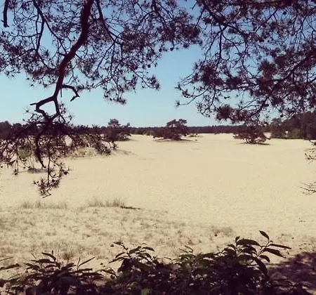 Holiday home Op De Veluwe