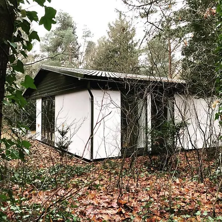 Www Op De Veluwe Nl Semesterbostad
