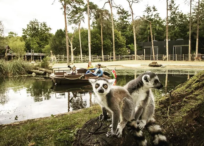 Op De Veluwe 宁斯佩特