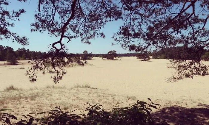 度假居 Op De Veluwe