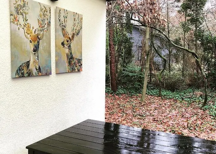 度假居 Op De Veluwe 宁斯佩特