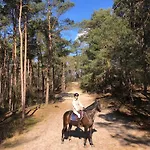 Op De Veluwe Ferienhaus