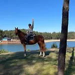 Ferienhaus Op De Veluwe Nunspeet