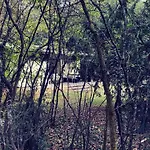Op De Veluwe