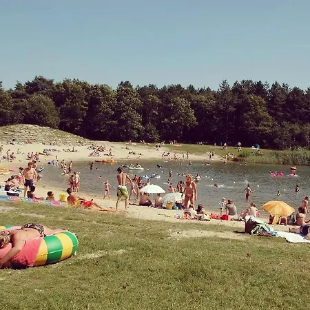 Op De Veluwe