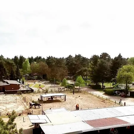 Op De Veluwe