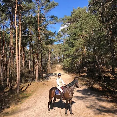 Op De Veluwe Σπίτι διακοπών