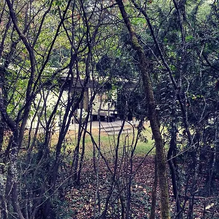 Op De Veluwe
