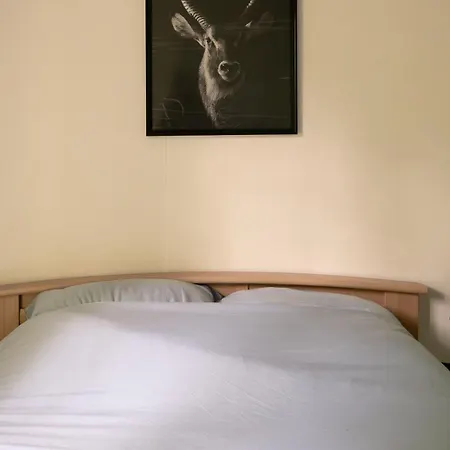 Dom wakacyjny Op De Veluwe Nunspeet