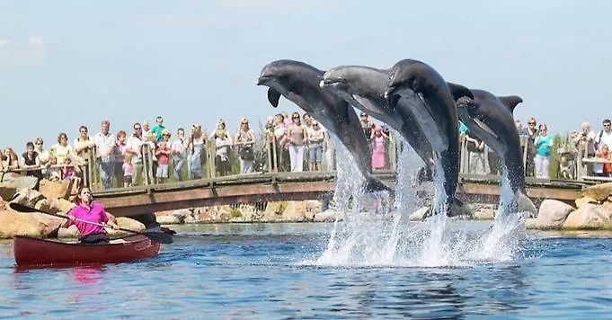 Op De Veluwe Dom wakacyjny *