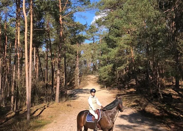 Op De Veluwe Dom wakacyjny