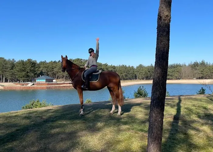 Dom wakacyjny Op De Veluwe Nunspeet