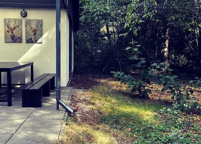 Op De Veluwe Dom wakacyjny *